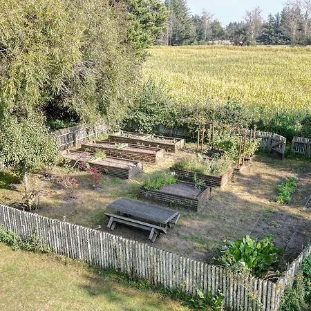 5 Star In Ferienhaus