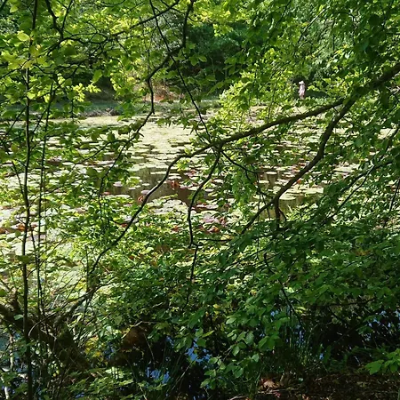 5 Star In Ferienhaus