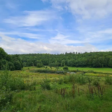 5 Star In Ferienhaus Løkken