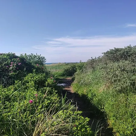 Ferienhaus 5 Star In Løkken