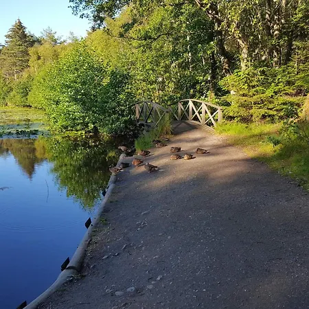 Ferienhaus 5 Star In *